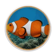 Fish Identifier logo